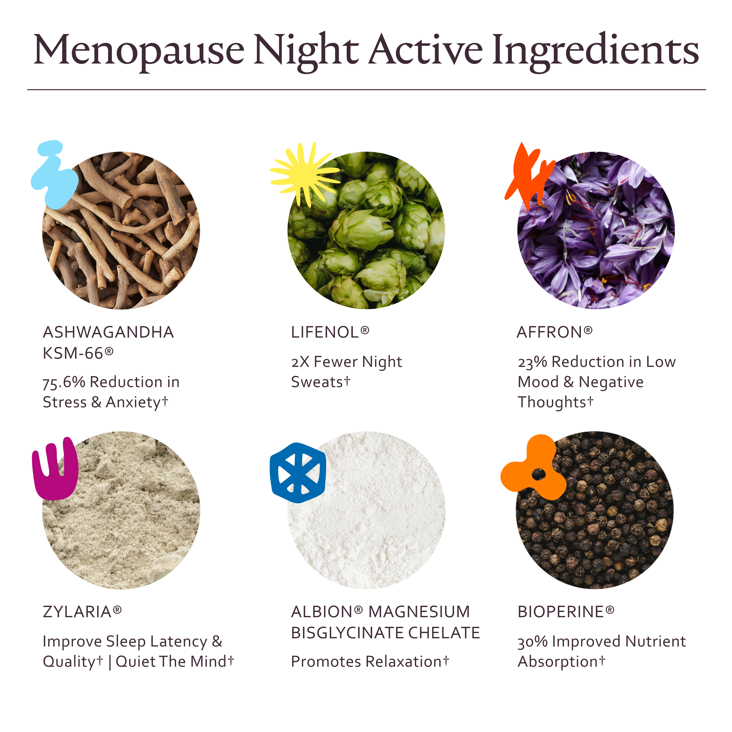 Menopause Night